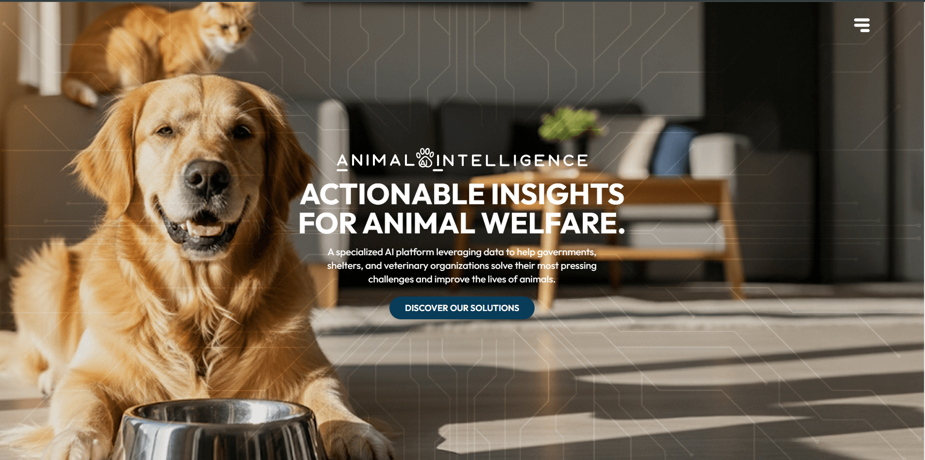 Animal Intelligence project preview
